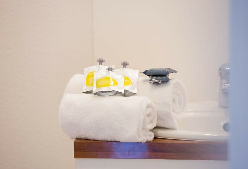 Студия Стандарт Двуспальная Кровать, All Suites Appart Hôtel Bordeaux Mérignac   Aéroport