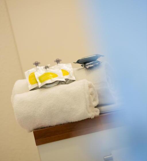 Студия Стандарт Двуспальная Кровать, All Suites Appart Hôtel Bordeaux Mérignac   Aéroport