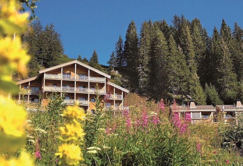 Апартаменты 1 Спальня, Dormio Resort Les Portes Du Grand Massif