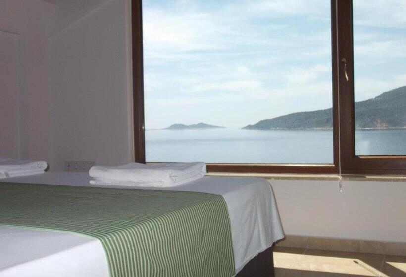 Superior Suite, Kulube