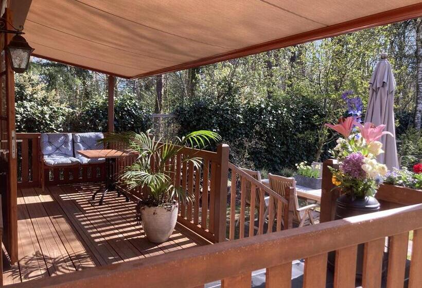 Студио Стандарт Кровать Кинг, B&b Porcini