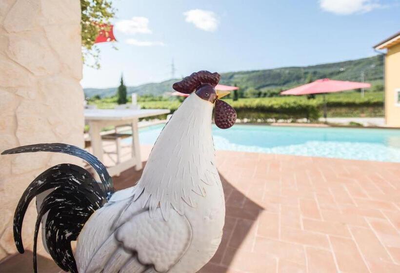 اتاق لوکس, Maso Maroni Agriturismo