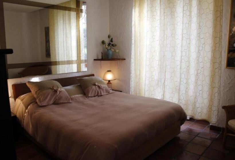 اتاق استاندارد, Punto Relax