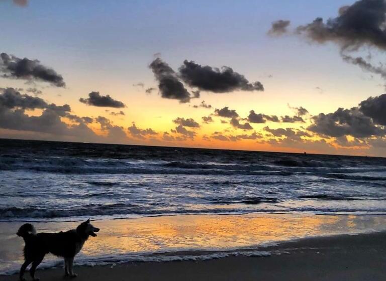 패밀리 룸, Westerschelde B&b
