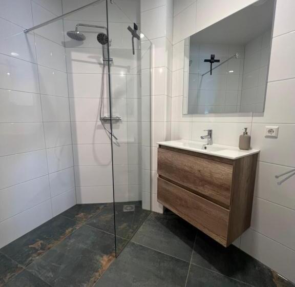 Студио Стандарт с Террасой, Neptunus Appartementen