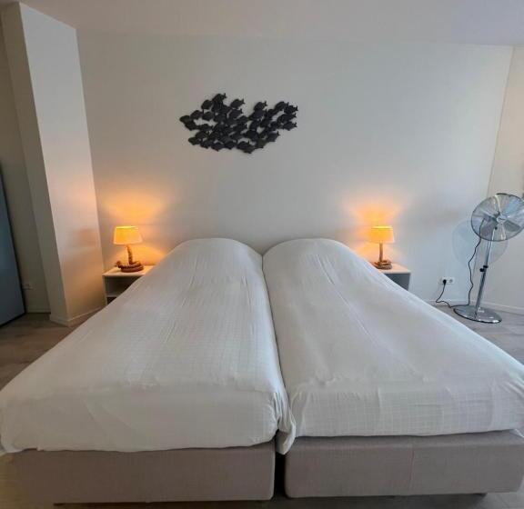 Студио Стандарт с Террасой, Neptunus Appartementen