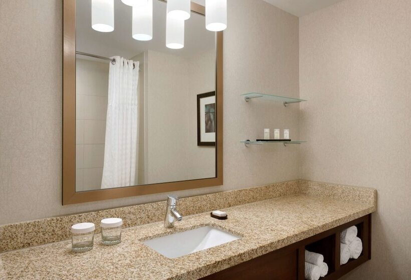 סוויטת פרמיום, Embassy Suites By Hilton Denver Downtown Convention Center