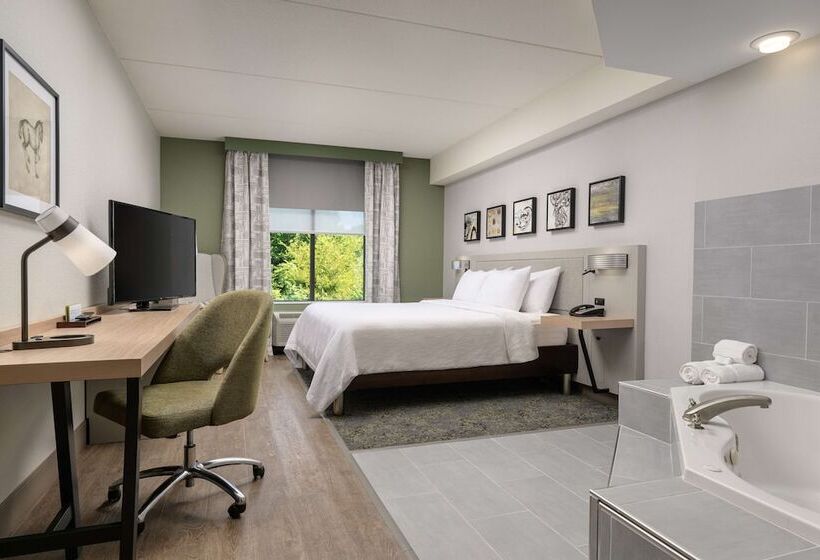 Номер Стандарт Двуспальная Кровать, Hilton Garden Inn Nashville/franklin Cool Springs