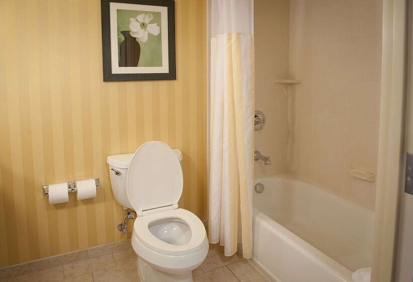 Номер Стандарт, Hilton Garden Inn Pensacola Airport Medical Center
