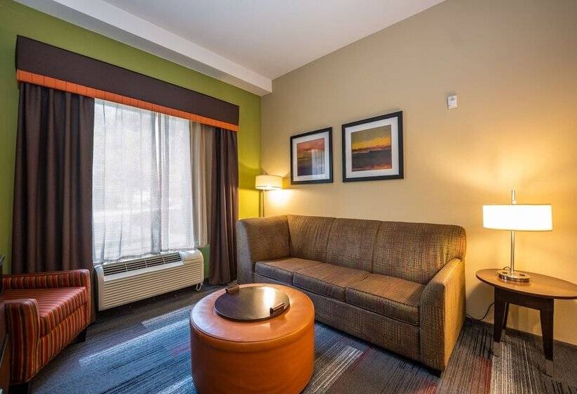 Люкс, Homewood Suites By Hilton Birmingham Sw Riverchase Galleria