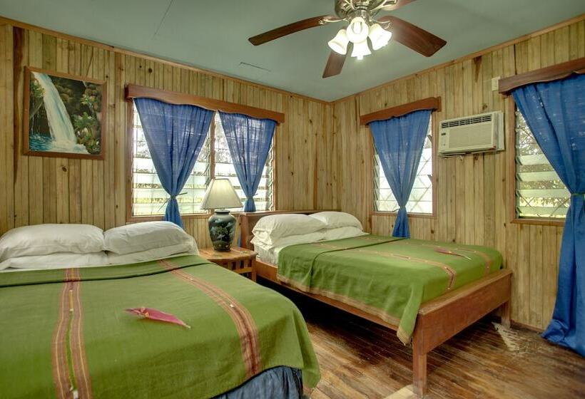 스탠다드 룸, Midas Belize