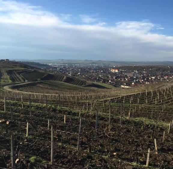 스탠다드 룸, Wineyards Salin