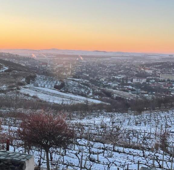 패밀리 룸, Wineyards Salin