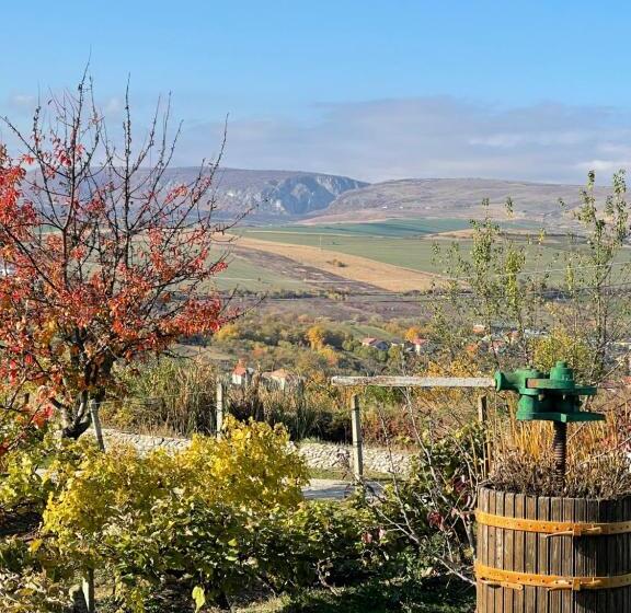 패밀리 룸, Wineyards Salin