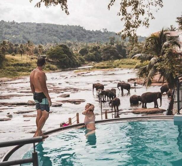 Quarto Triplo Estandar, Elephant Bay