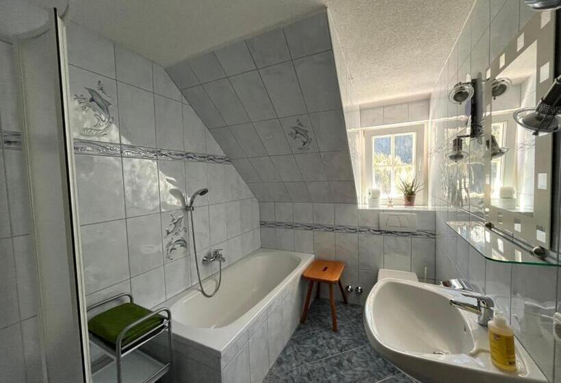 Апартаменты 1 Спальня с Видом, Ferienwohnung Biohof Laußnitzer In Rennweg