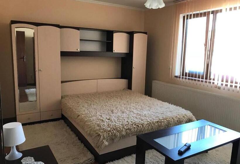 Номер Стандарт с Террасой, Guest Rooms Profirov