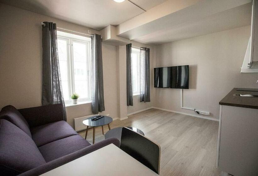带1个卧室的公寓, Stavanger Housing