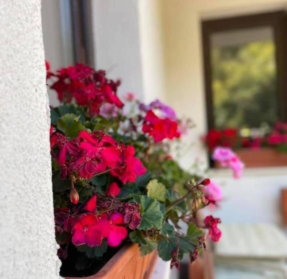 Дом 4 Спальни, Kassandrova Guest House & Spa