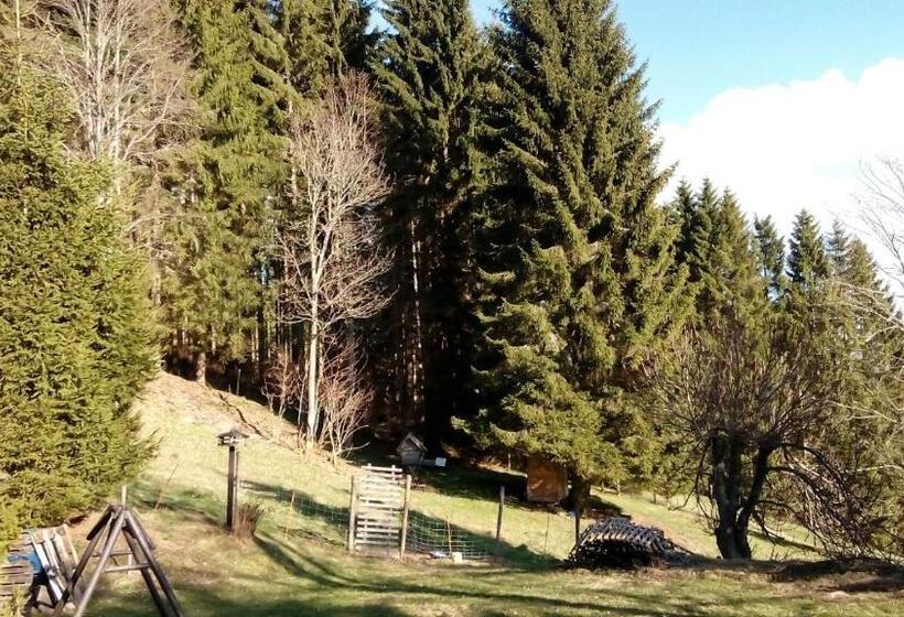Номер Стандарт, Gästehaus Fridolin