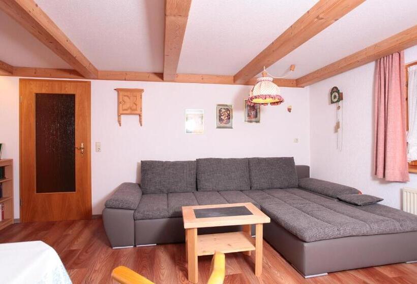 Апартаменты 1 Спальня с Балконом, Haus Derra