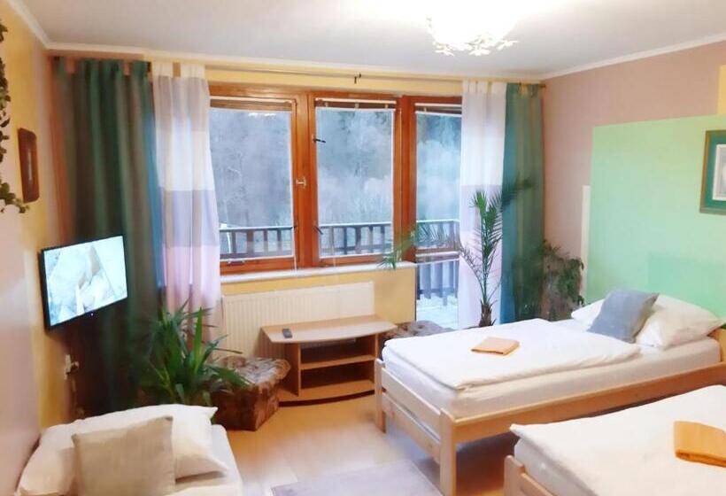 Номер Стандарт с Балконом, Penzion Havaj