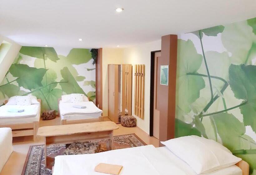 Четырехместный Номер Стандарт Вид на Сад, Penzion Havaj