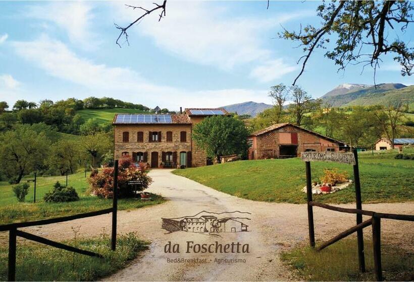 Номер Стандарт, Da Foschetta