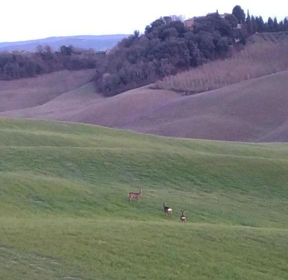 آپارتمان 1 خوابه, Appartamento Crete Senesi