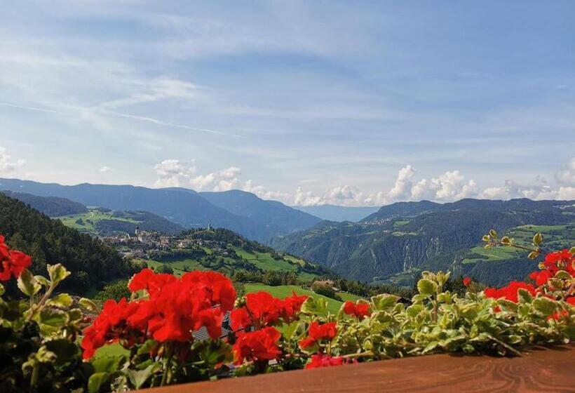 ２ベッドルームアパートメント, Gfliererhof