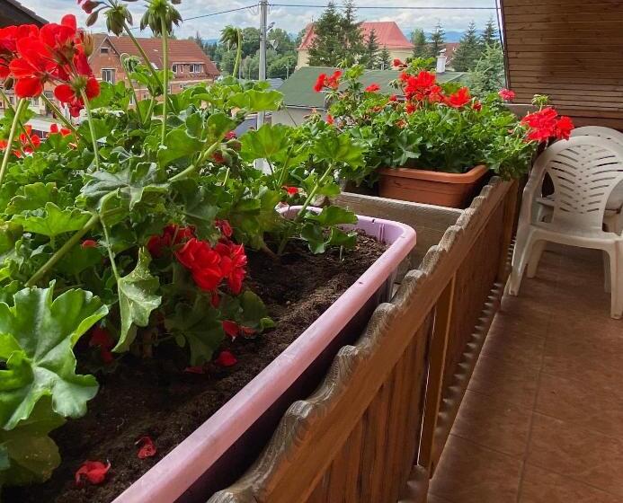 Люкс, Penzión Vila Petra Bed&breakfast