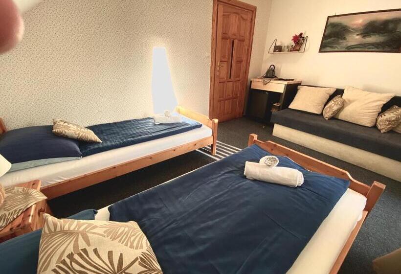 Номер Стандарт Вид на Горы, Penzión Vila Petra Bed&breakfast