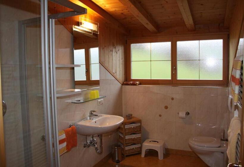 Апартаменты Пентхаус 2 Спальни, Neu Schötzerhof