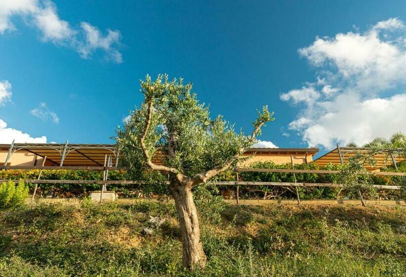 Студия Стандарт, Solemar Sicilia   Le Casette Di Calzata