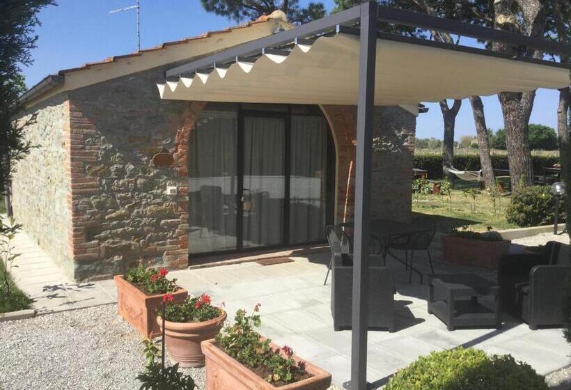 آپارتمان 1 خوابه, Terra Di Cortona