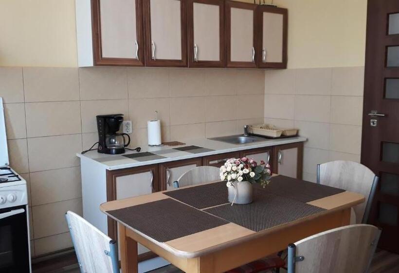 דירת חדר, Villa Casa Ioana
