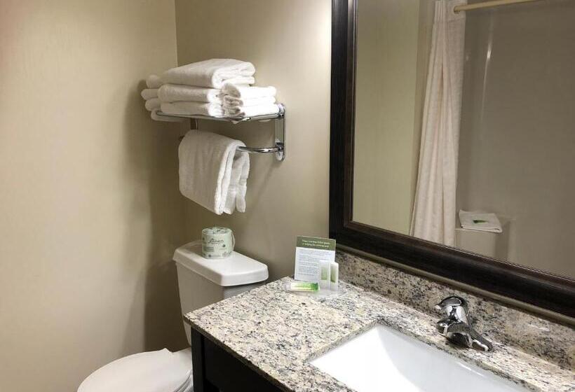 Номер Стандарт, Americinn By Wyndham Silver City