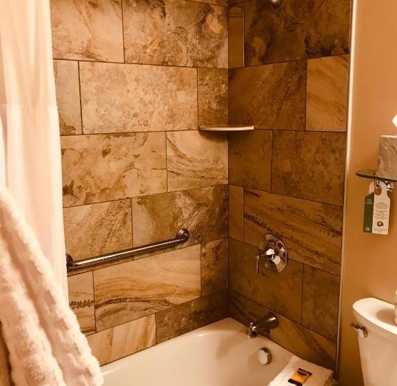 Номер Стандарт 2 Двуспальные Кровати, Best Western Plus Waterburystowe