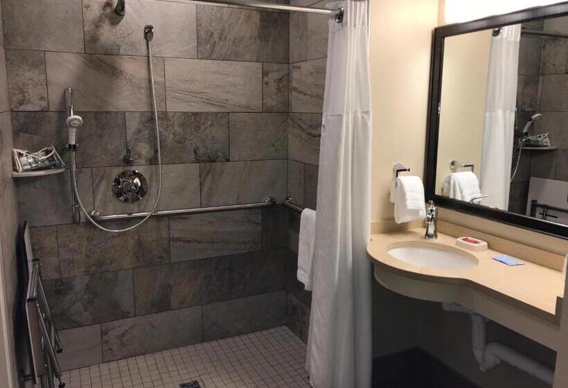 Номер Стандарт Адаптированный для Инвалидов, Best Western Plus Waterburystowe