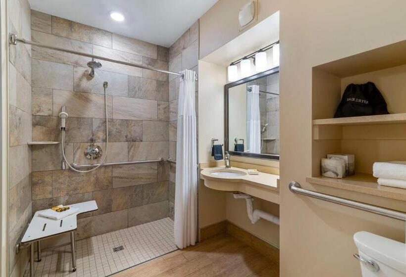 Номер Стандарт Адаптированный для Инвалидов, Best Western Plus Waterburystowe