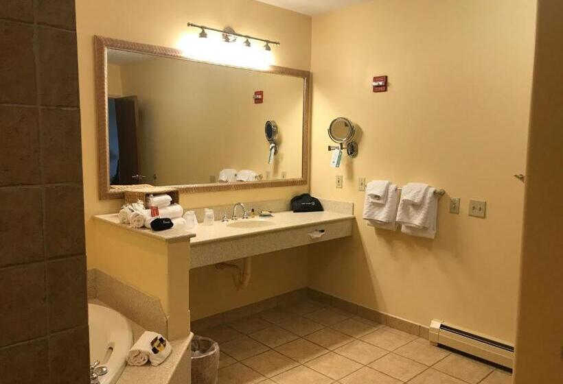 Люкс Адаптированный для Инвалидов, Best Western Plus Waterburystowe