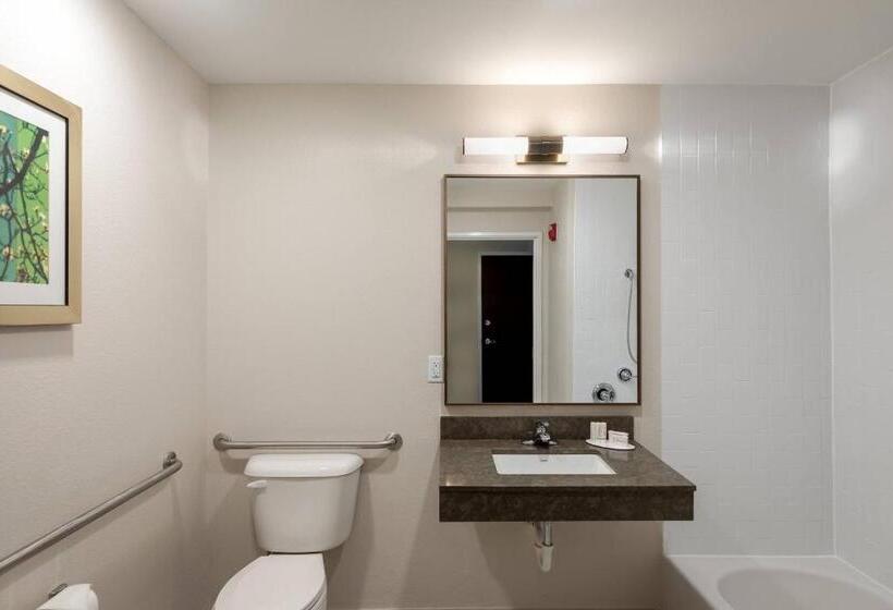 キングサイズベッドのスタンダードルーム, Fairfield Inn & Suites Savannah Airport