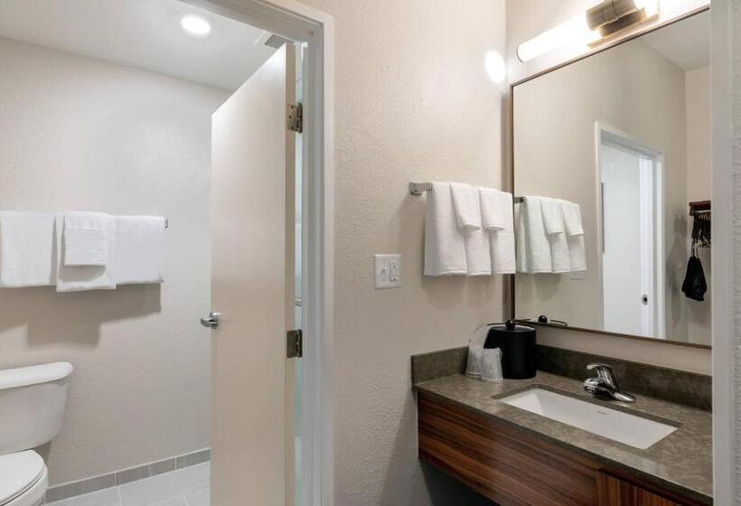 キングサイズベッドのスタンダードルーム, Fairfield Inn & Suites Savannah Airport