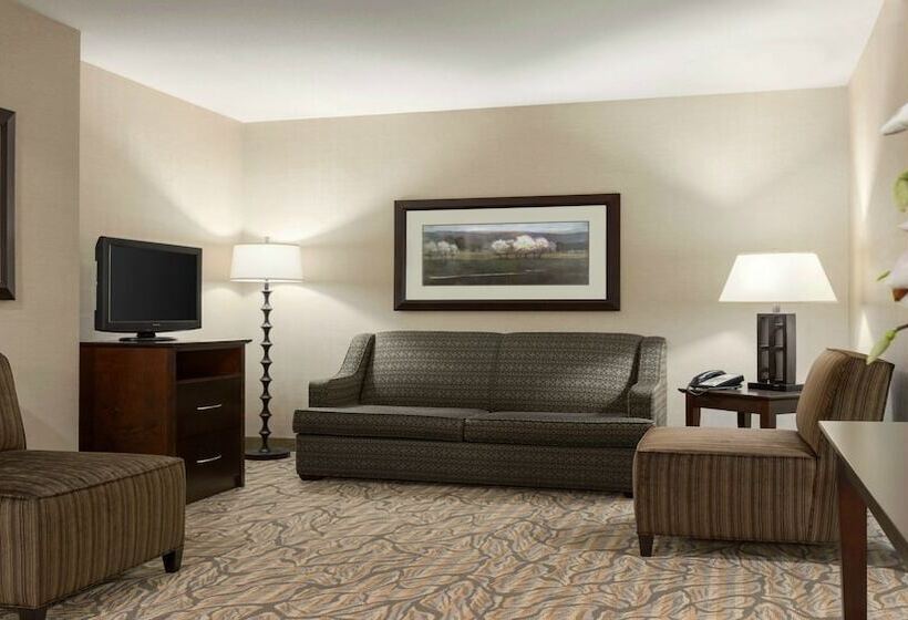套房, Holiday Inn Hotel & Suites Gateway, An Ihg