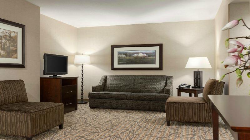 带大床的套房, Holiday Inn Hotel & Suites Gateway, An Ihg