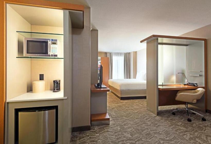 سوئیت برای معلولان, Springhill Suites Louisville Downtown