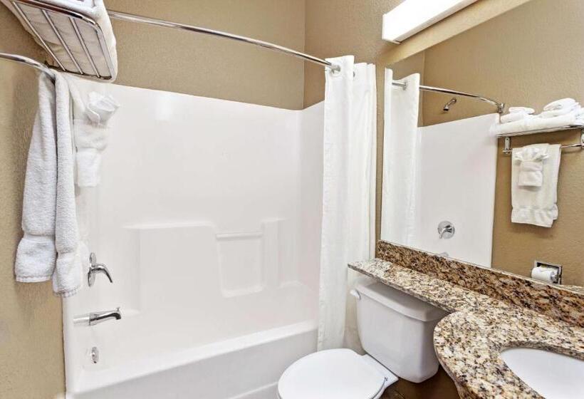 Номер Стандарт, Microtel Inn & Suites By Wyndham Woodstock/atlanta North