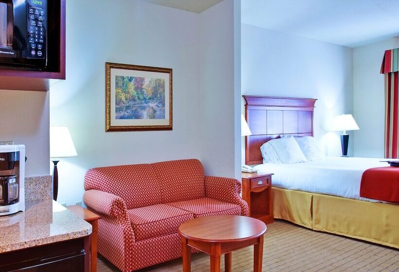 套房, Holiday Inn Express & Suites Dyersburg, An Ihg