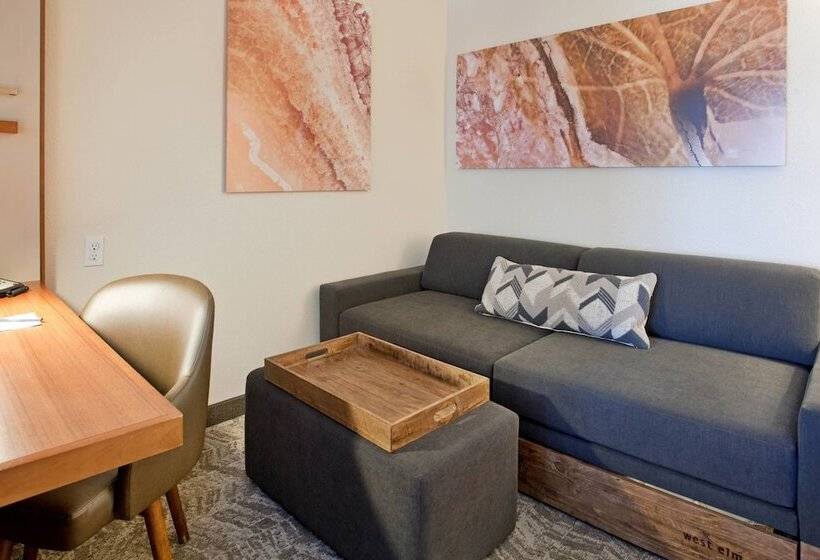Люкс Адаптированный для Инвалидов, Springhill Suites By Marriott Wichita East At Plazzio