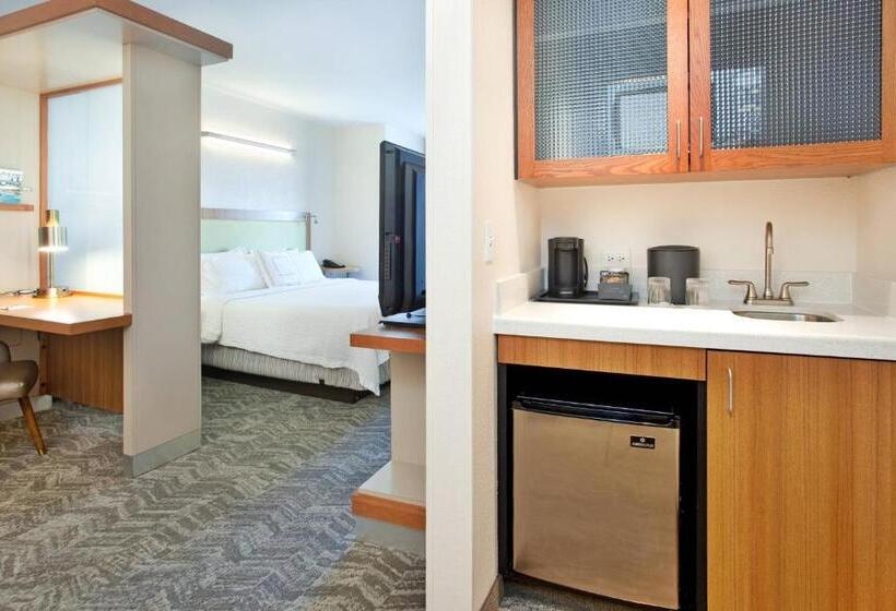 سوئیت با تخت بزرگ, Springhill Suites By Marriott Wichita East At Plazzio